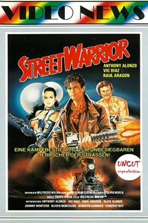 Revenge of the Street Warrior Poster