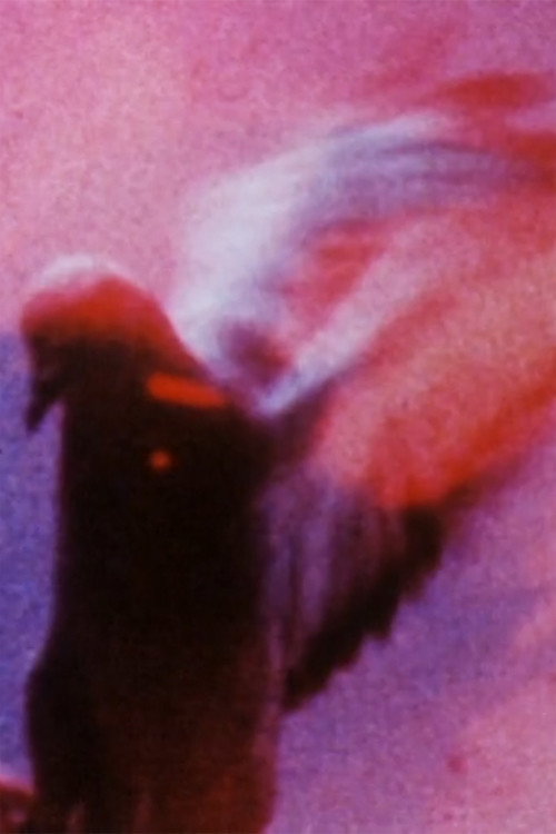 Long Eyes of the Earth Poster