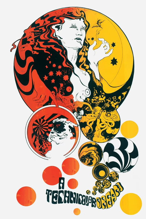 A Technicolor Dream Poster