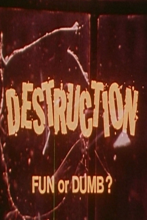 Destruction: Fun or Dumb? Poster
