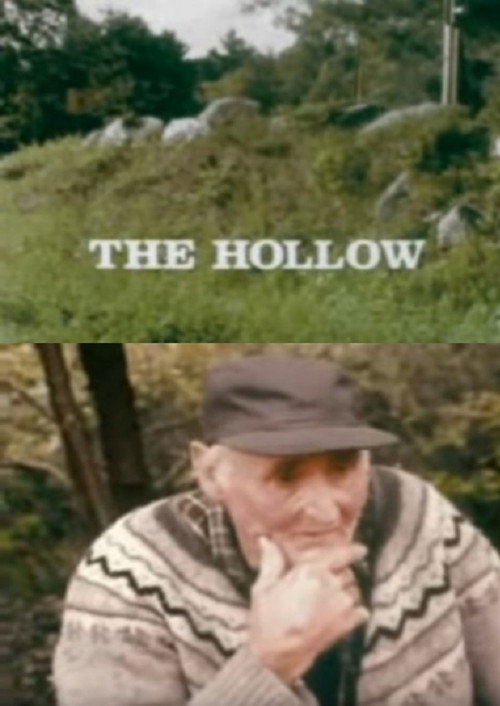 The Hollow Poster