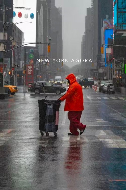 New York Agora: The Legacy of the 60s Counterculture Poster