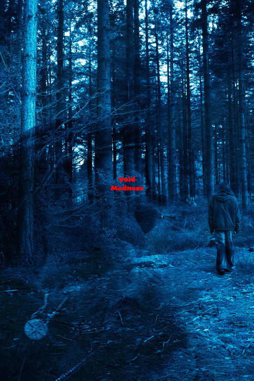 Void Madness Poster
