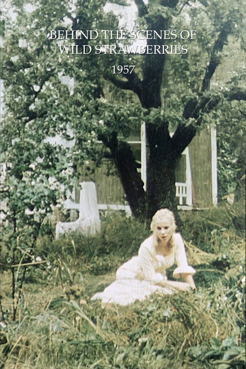 Behind the Scenes of Wild Strawberries Poster