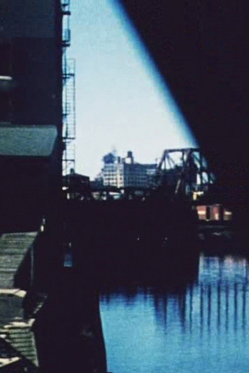 Pennsylvania/Chicago/Illinois Poster