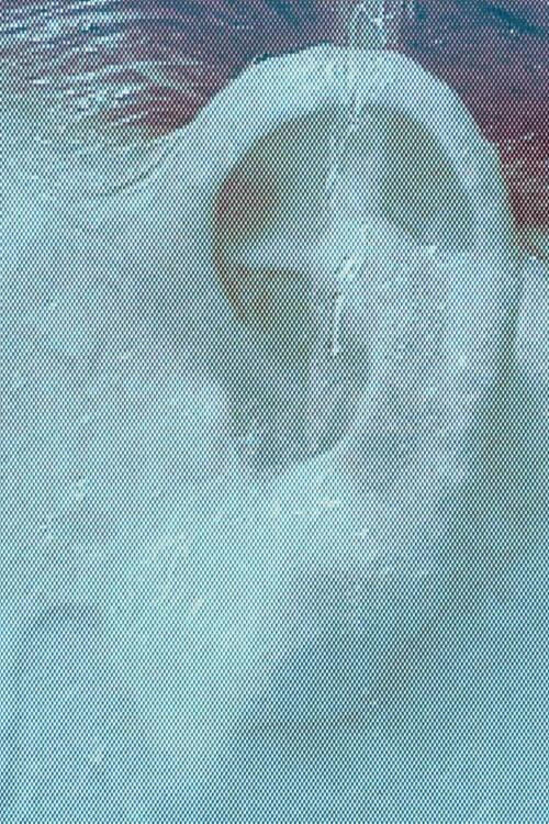 the capacity of absorption Poster