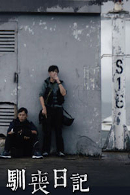 Zombies in the House Poster