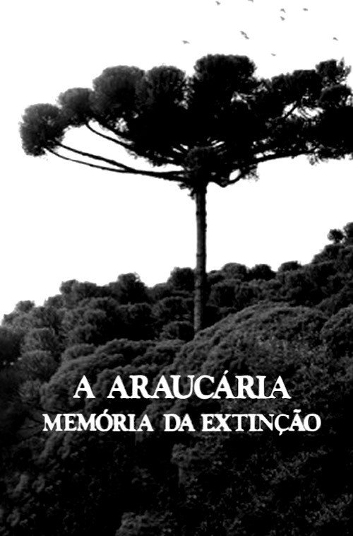 A Araucária: Memória em Extinção Poster