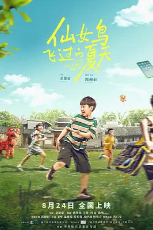 仙女鸟飞过的夏天 Poster
