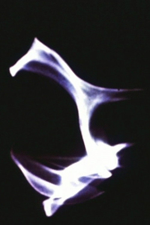 Light Reflections Poster