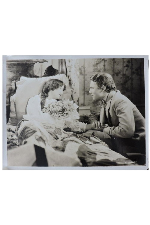 The Wreck of the Hesperus Poster