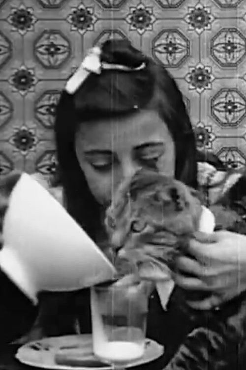 Pussy's Breakfast Poster