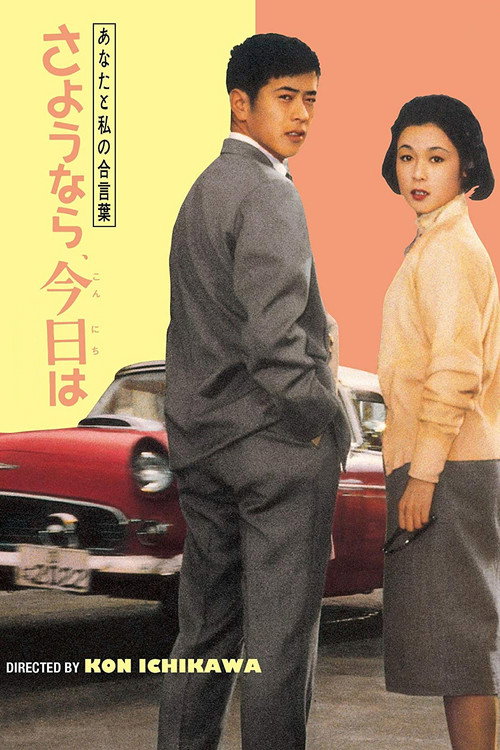 Goodbye, Hello Poster