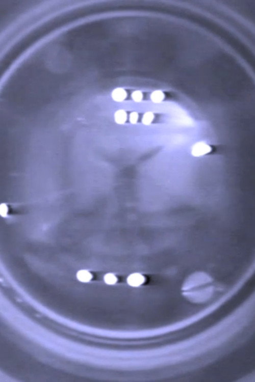 Video as no video Poster