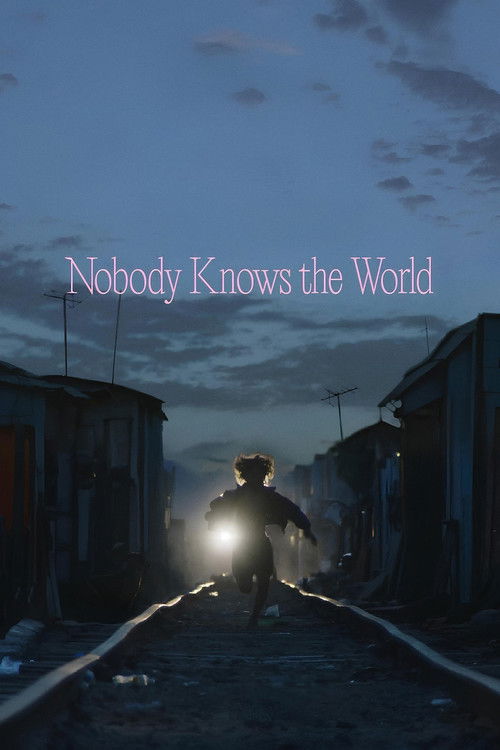 Nobody Knows the World Poster
