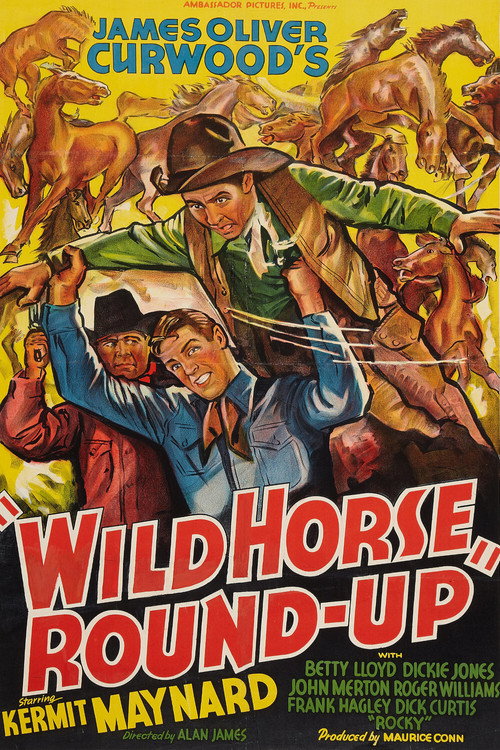 Wild Horse Round-Up Poster