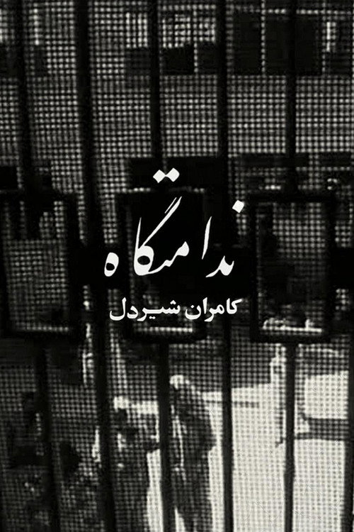 Women's Prison Poster