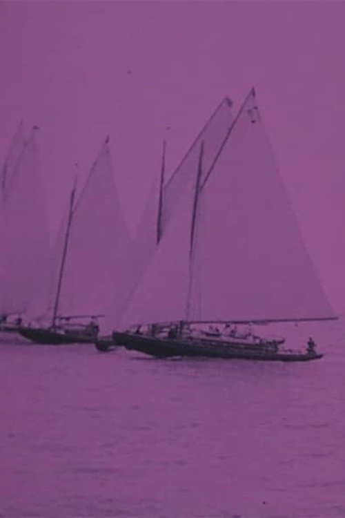 Sailing Poster