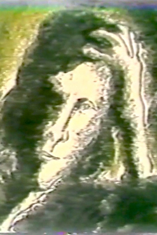 逆旅與幻象 Poster