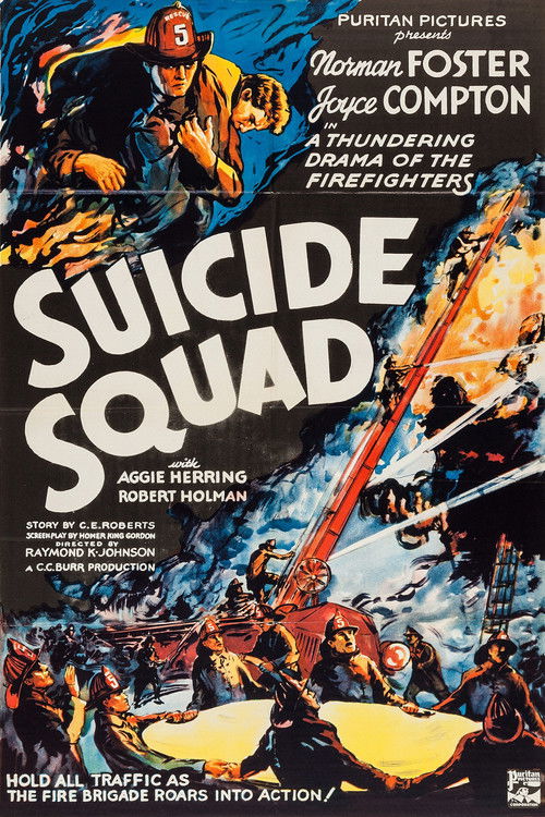 Suicide Squad Poster