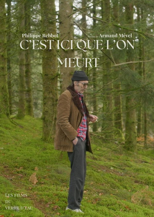 C'est ici que l'on meurt Poster