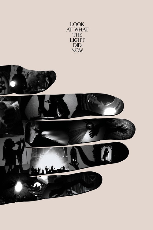 Look at What the Light Did Now Poster