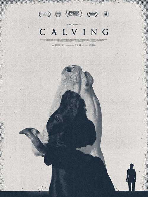 Calving Poster