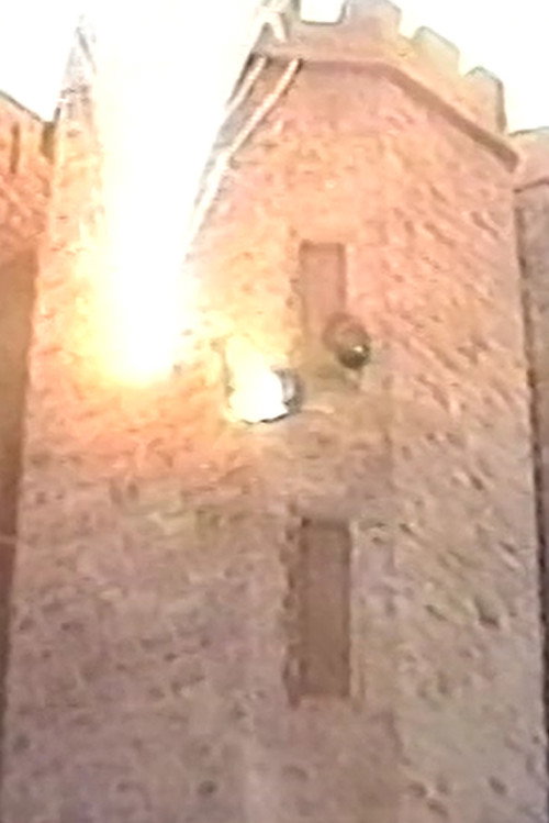 Gatørr The Fighting Rabbit Poster