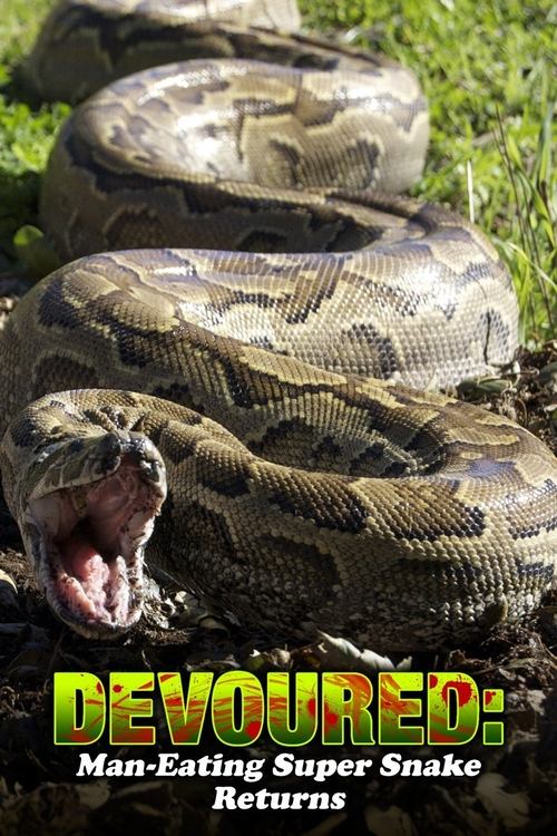 Devoured: Man-Eating Super Snake Returns Poster