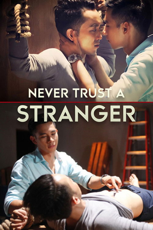 Never Trust a Stranger Poster