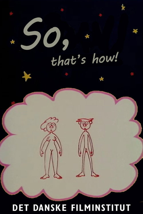 So, That's How! Poster