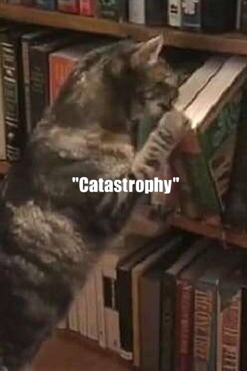 Catastrophy Poster