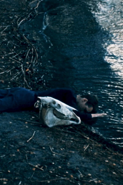 Rosalduna blommar på vattnet Poster