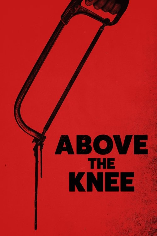 Above the Knee Poster
