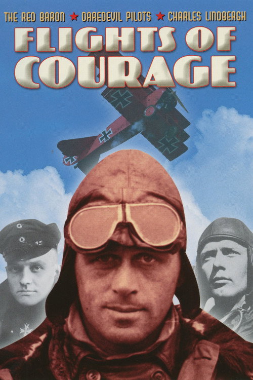 Flights of Courage Poster