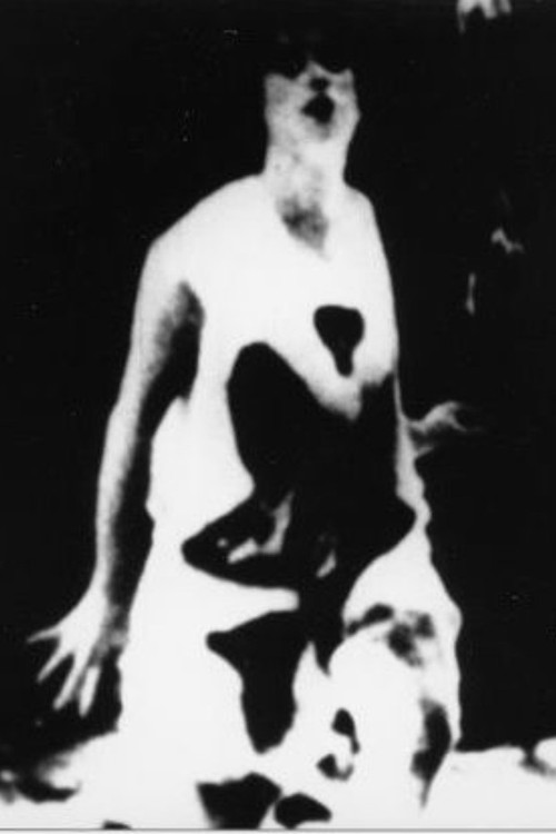 The Central Character Poster
