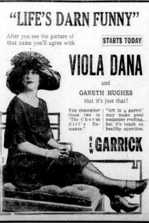 Life's Darn Funny Poster