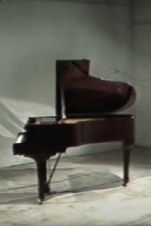 Finestra Santos Poster