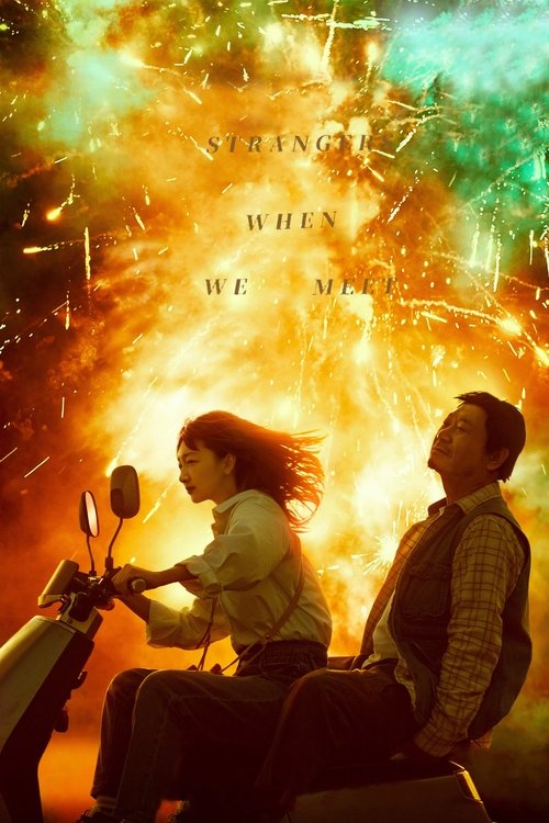 Strangers When We Meet Poster