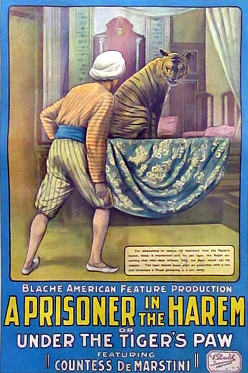 A Prisoner in the Harem Poster