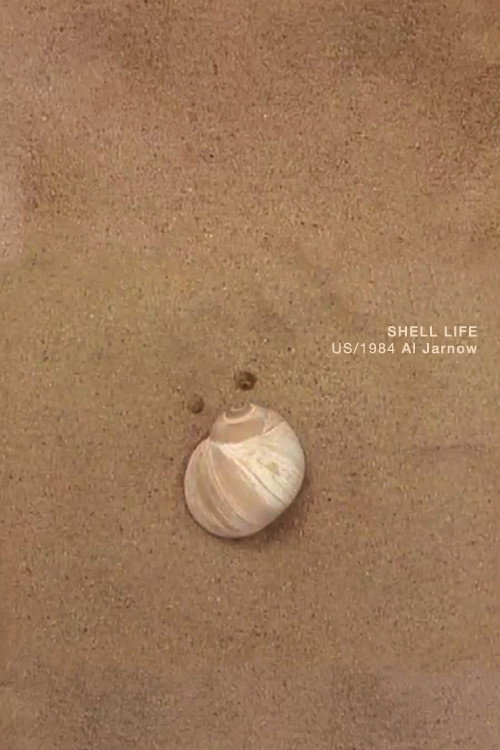 Shell Life Poster