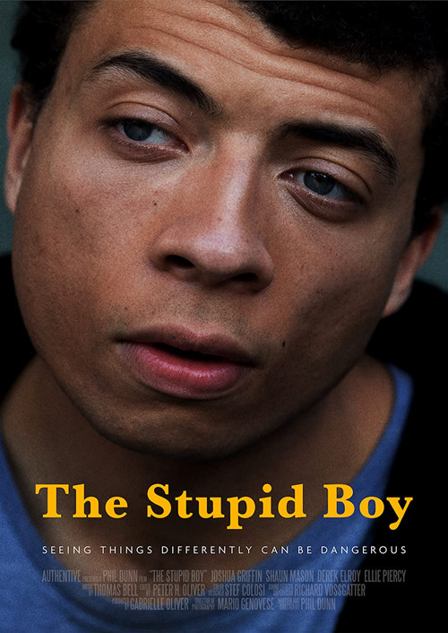 The Stupid Boy Poster
