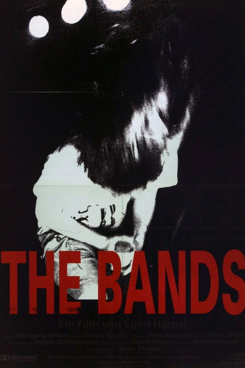The Bands Poster