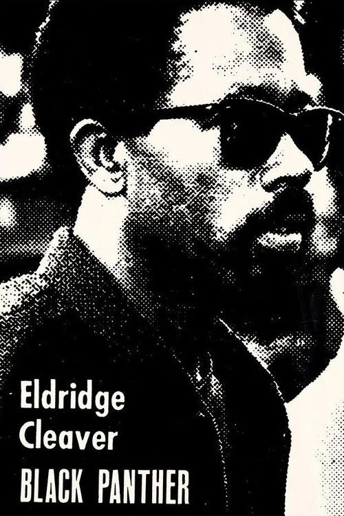 Eldridge Cleaver, Black Panther Poster