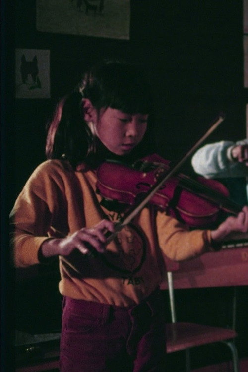 Swedish Colors Poster