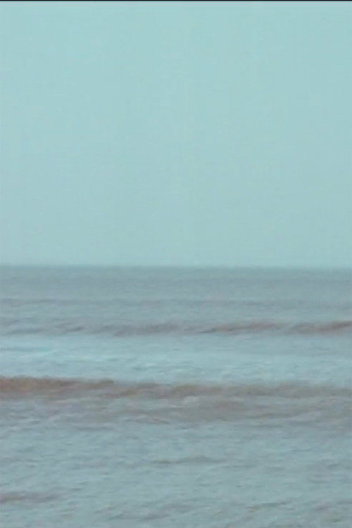 Vibrating Horizon Poster
