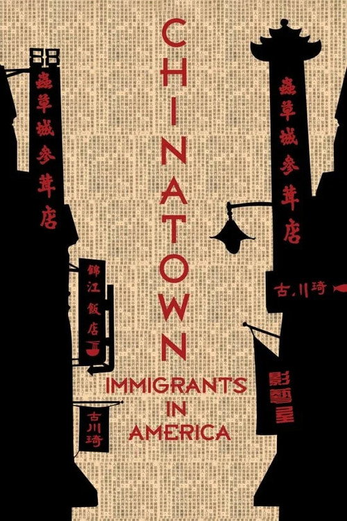 Chinatown: Immigrants in America Poster