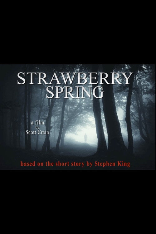 Strawberry Spring Poster