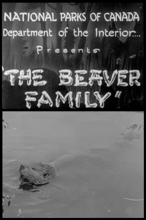Beaver Family Poster