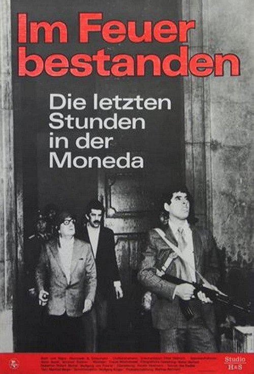 Steadfast in Fire Poster